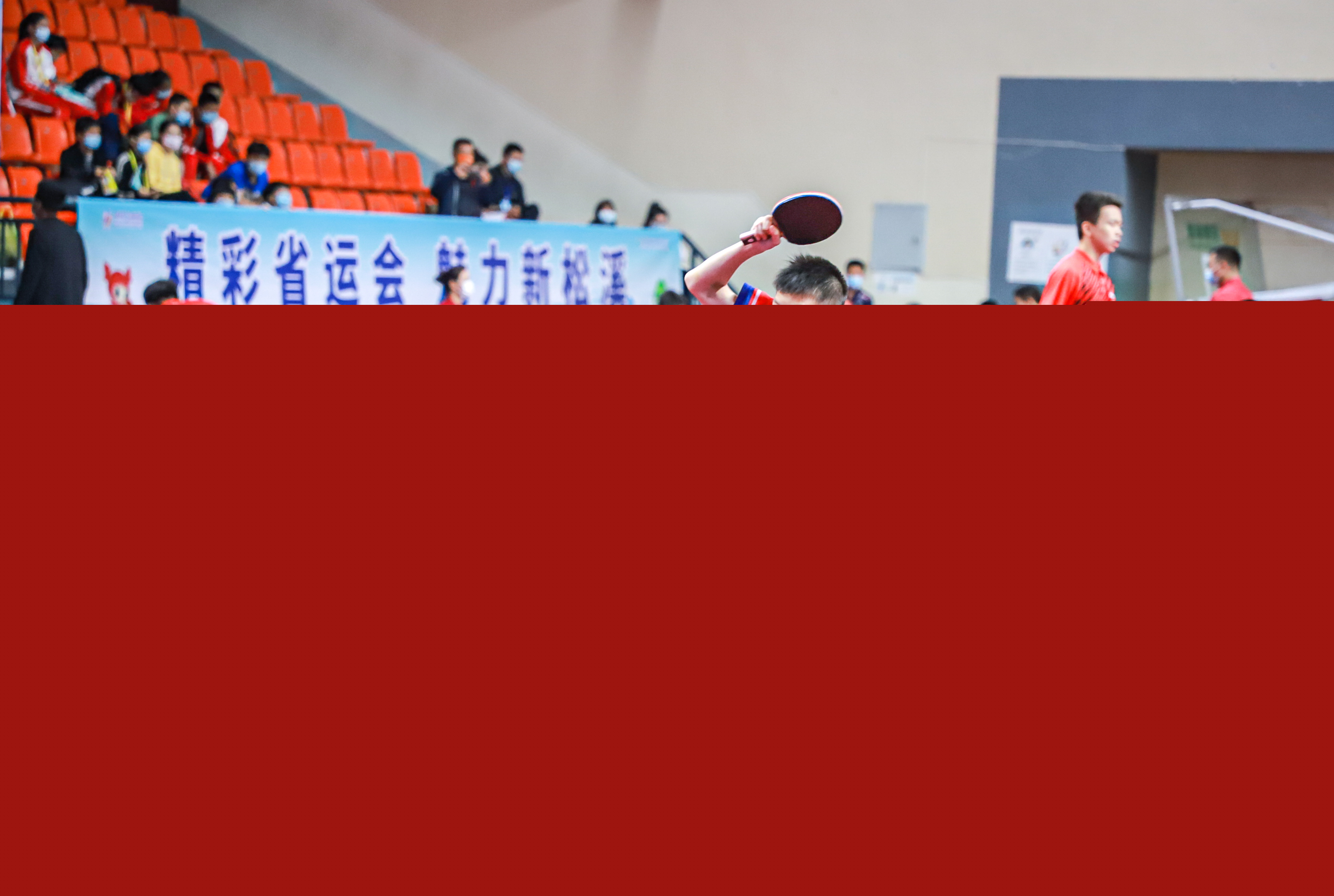 国际社会普 国际社会普